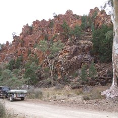 Warren Gorge SA