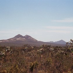 There is always something flowering in the Fitzgerald NP
