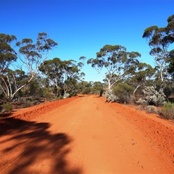 The track started out as a well fomed gravel road