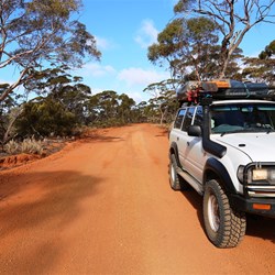 The trusty 80 near Bungalbin Hill