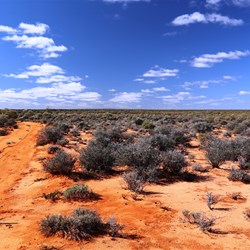 The view to the north east across a sandy plain