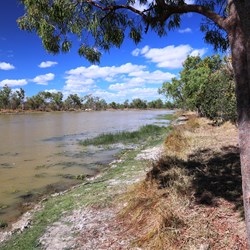 A billabong beside the Burke Developmental Road