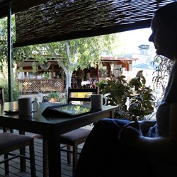 The Chilligoe Eco Lodge 