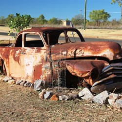 If you've got a 1950-something Chevy ute on the front verge you might as well make it a feature