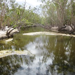 Crossing Salt Water Creek