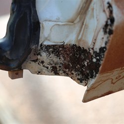 High water mark on one of the barn doors.  The black scum is diesel soot that accumulated on top of the water while the car was idling
