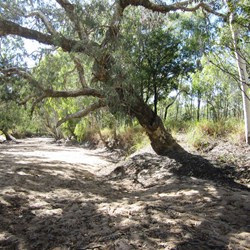 One of the many creeks - thankfully dry