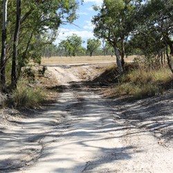 Sections like this slowed us down, but Dixie Road was generally a pretty good drive
