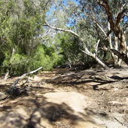 Crossing another dry creek