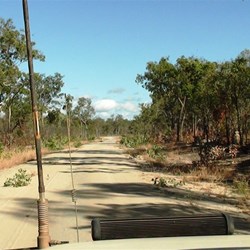 Obviously Dixie Road doesn't need grading often - note the saplings growing on the road shoulder...