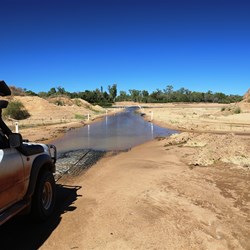 Thankfully the Mitchell River wasn't too full