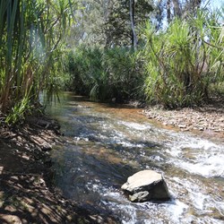Robinson River was one of the few that was flowing while we were there