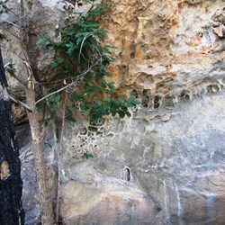 Interesting rock formations on the walk to Nannie's Retreat