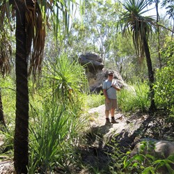 Among the pandanus palms on the walk to Nannie's Retreat