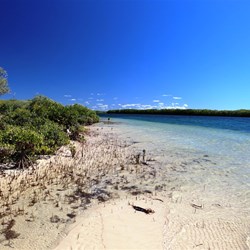 Where Wuraliwuntya Creek meets the Gulf of Carpentaria