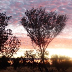 Sunset at Mount Leibig campsite