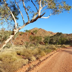 Gosse Bluff access road