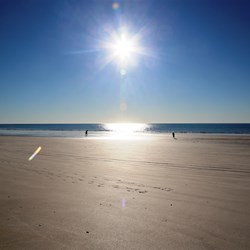 A couple collecting clams on the receding tide - for bait or a linguini pasta?