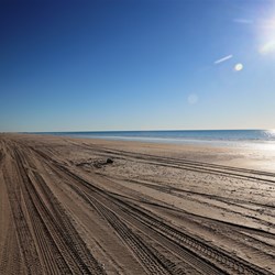 Been a few cars along here