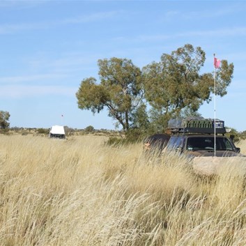 Pushing through the spinifex