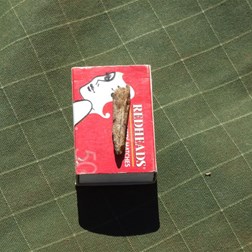 OUCH!!!!  The culprit!