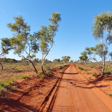 We continued on to the Queen Desert Baths turn off