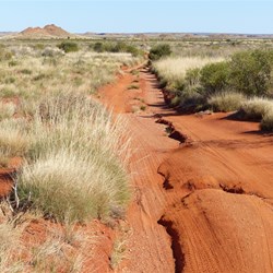 Heading back out of the Desert Queen track