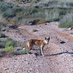 He was not afraid of us