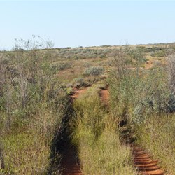 Another section cleared