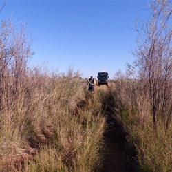 Next time we will bring a quad bike!