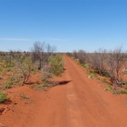 The colours were beautiful!