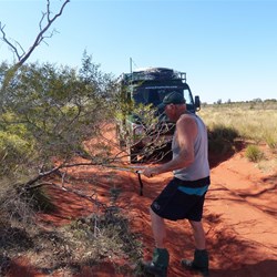 Just a little trim for this one