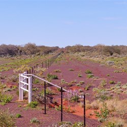 The first fences we have seen for a long time