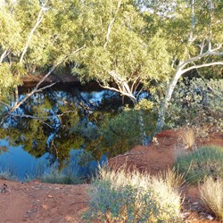 Looking down on the creek from our campsite
