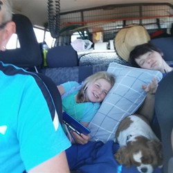 The Martin "Griswolds"