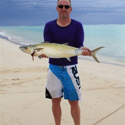 David's Shark Mackeral