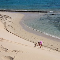 What goes down must come up