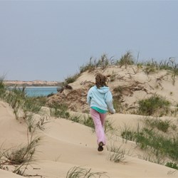 Chardae running after sea eagles