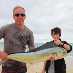 Dolphn fish (mahi-mahi)