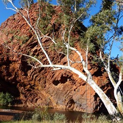 The sun brings out the colours