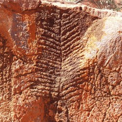 Petroglyphs at Wonmulla