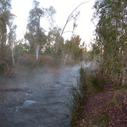 Early morning mist on the creek