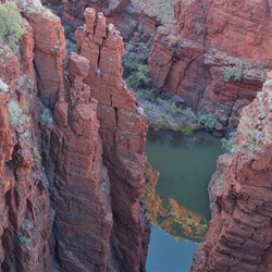 Wow! View from Oxer lookout