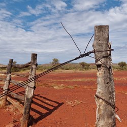 Mickey's Hideaway - old stock yards