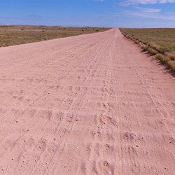 The road into Ningaloo Homestead