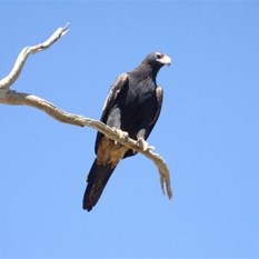 I don't wanna move from here