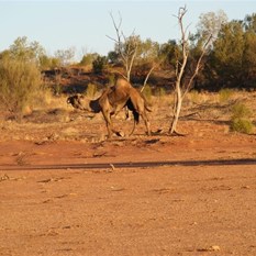 Get outsa here please