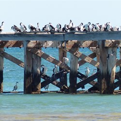 Resting before fishing again