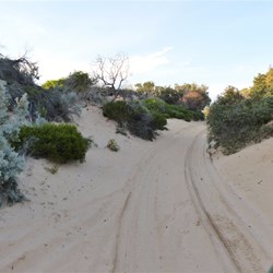 Sandy tracks over dunes