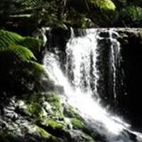 Horseshoe Falls, Mt Field NP